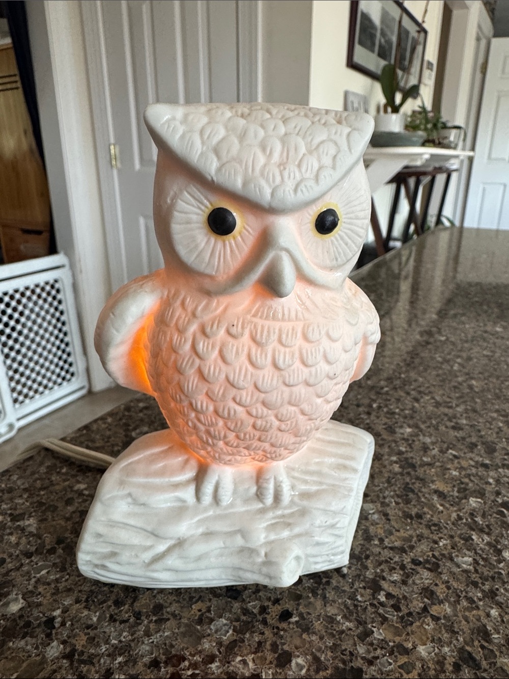 1970s Vintage White Ceramic Owl with Light Option